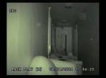 Orbs